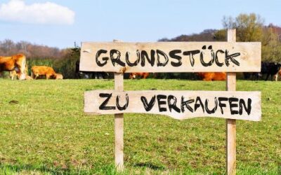 ImmoESt-Pflicht bei Umwidmung